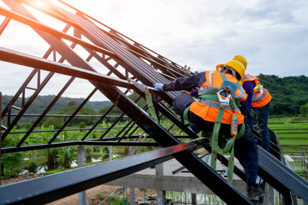 Best Gutter Installation and Roofing  in Mapleton, ND
