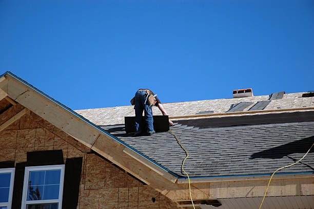 Best Roof Leak Repair  in Mapleton, ND